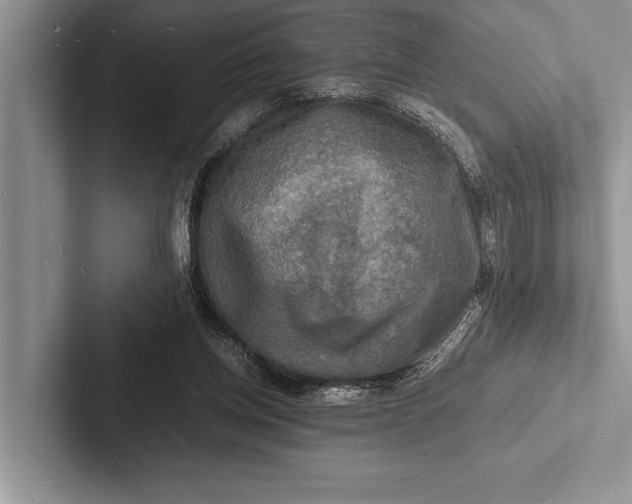 X0000103250158200809111622