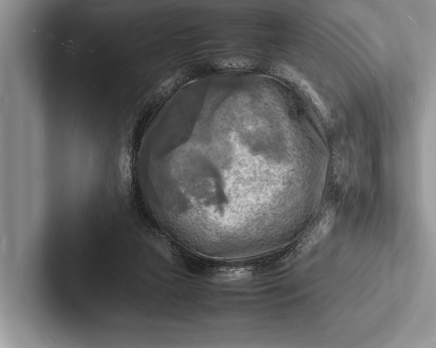 X0000103250161200809111622