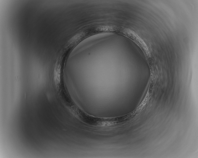 X0000103250163200809111622
