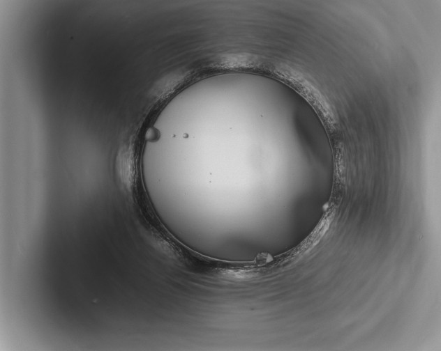 X0000103250164200809111622