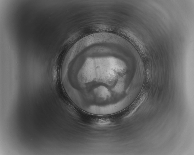 X0000103250165200809111622