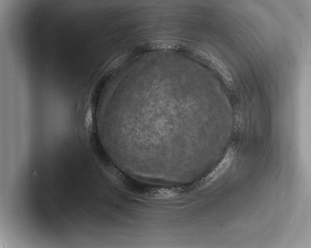 X0000103250166200809111622