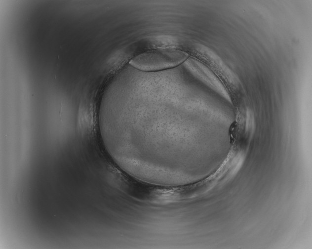 X0000103250170200809111622