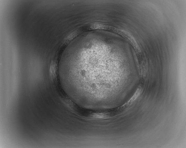 X0000103250171200809111622