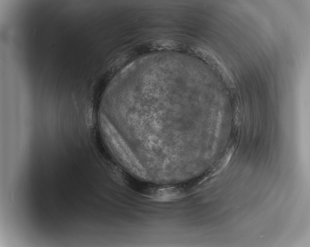 X0000103250173200809111622
