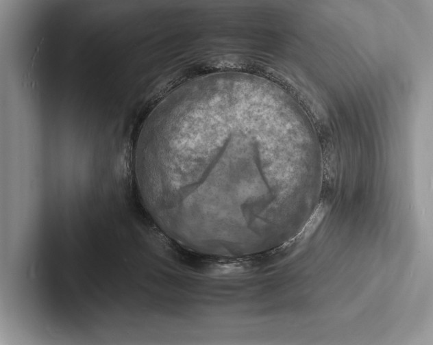 X0000103250175200809111622
