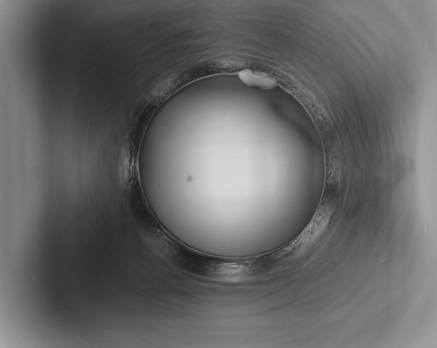 X0000103250176200809111622