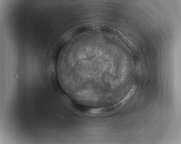 X0000103250178200809111622