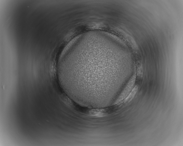 X0000103250179200809111622