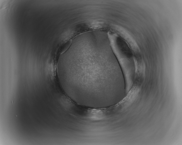 X0000103250180200809111622