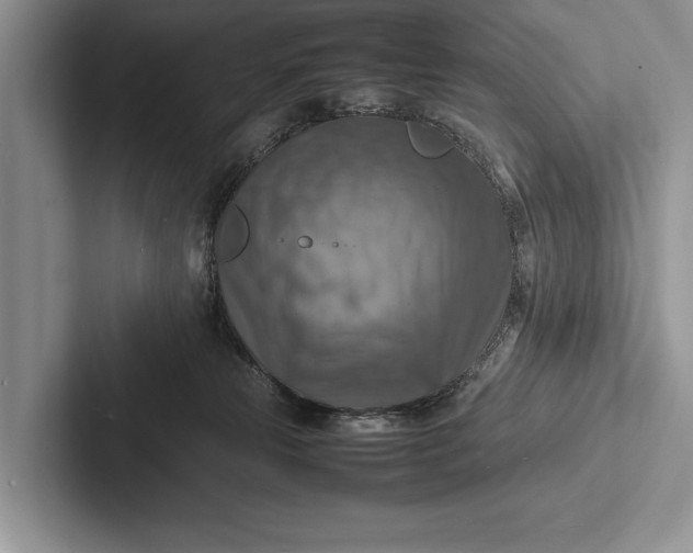 X0000103250181200809111622