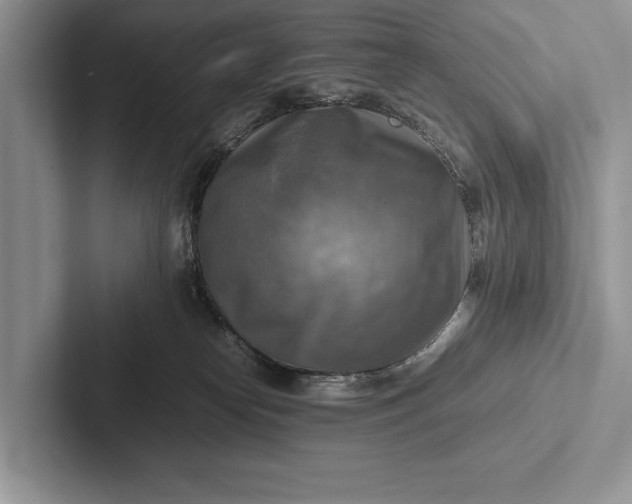 X0000103250182200809111622