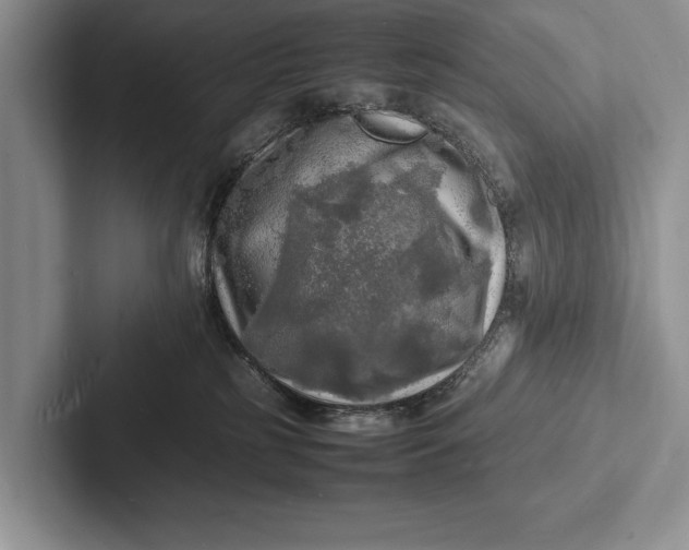 X0000103250185200809111623