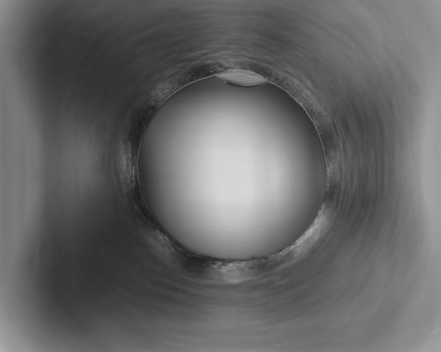 X0000103250186200809111623