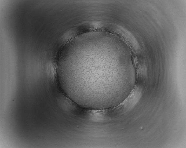 X0000103250188200809111623