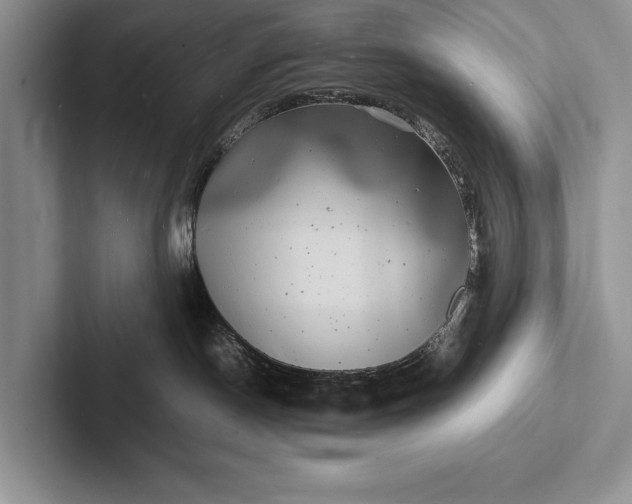 X0000103250190200809111623