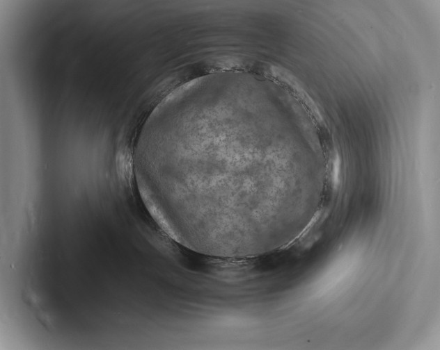 X0000103250191200809111623