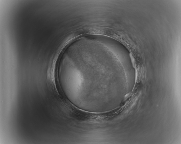 X0000103250195200809111622