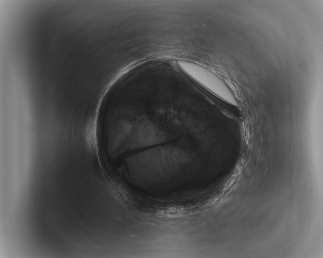 X0000103250196200809111622