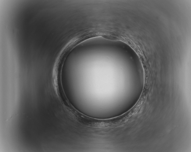 X0000103250197200809111622