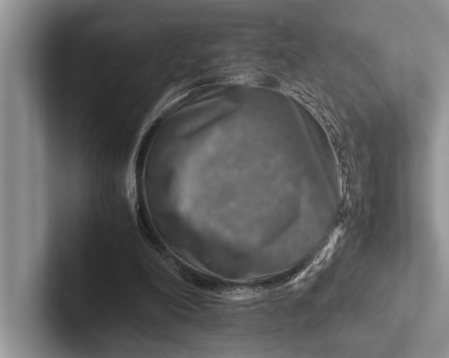 X0000103250198200809111622