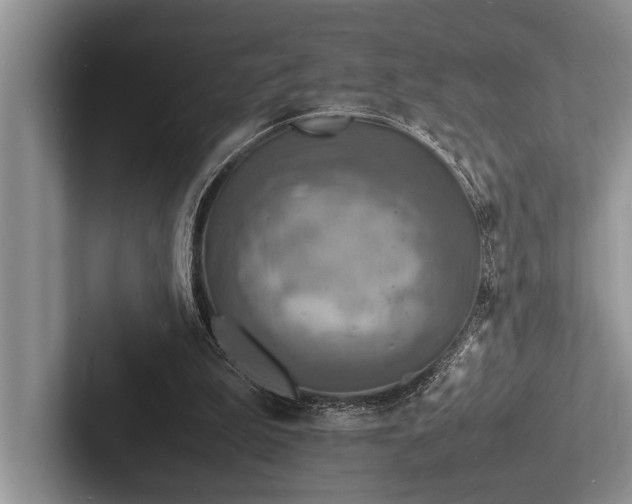 X0000103250199200809111622