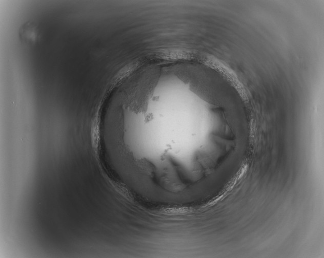 X0000103250202200809111622