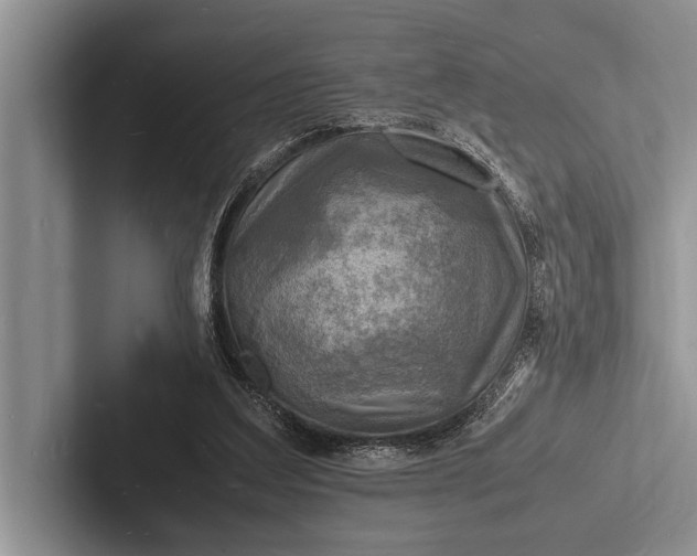 X0000103250203200809111622