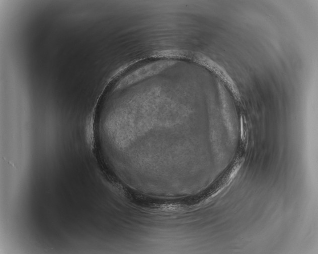 X0000103250204200809111622