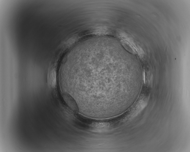 X0000103250205200809111622