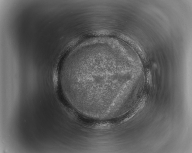 X0000103250206200809111622