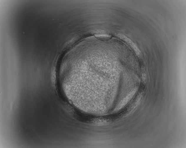 X0000103250207200809111622
