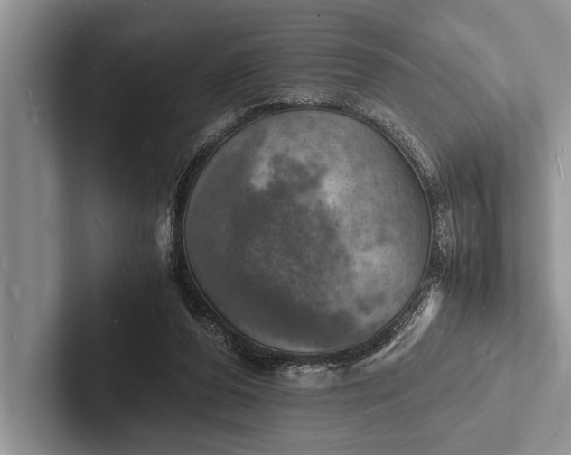 X0000103250208200809111622
