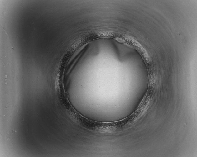 X0000103250209200809111622