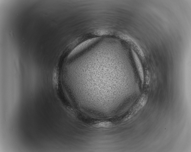 X0000103250210200809111622