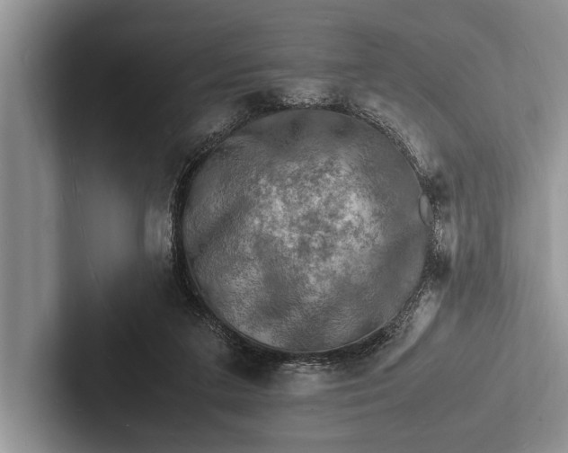 X0000103250211200809111622