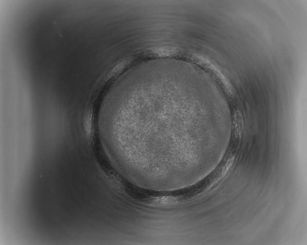 X0000103250212200809111622