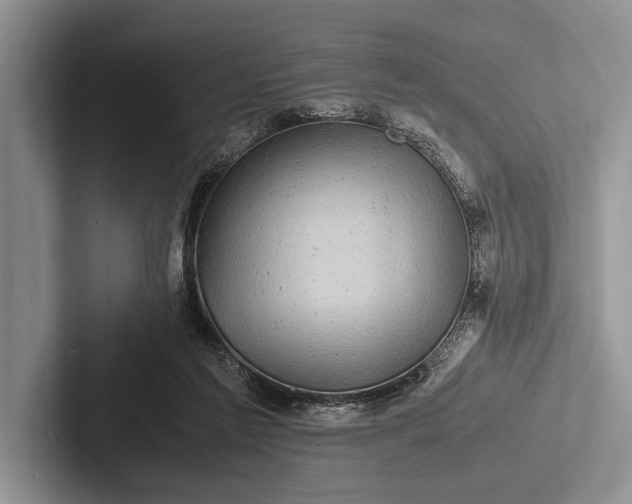 X0000103250213200809111622