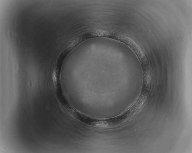 X0000103250214200809111622