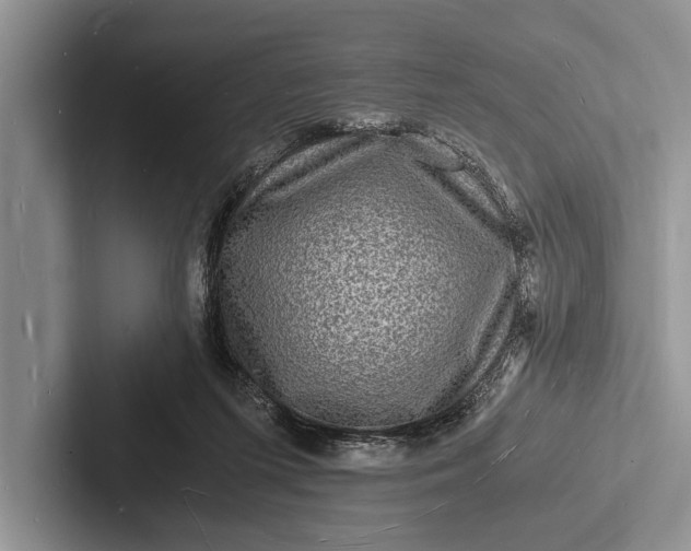 X0000103250215200809111622