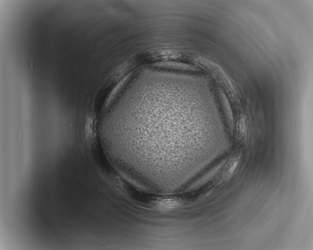 X0000103250218200809111622