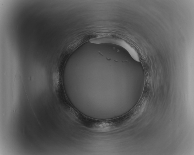 X0000103250219200809111622