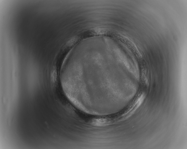 X0000103250220200809111622