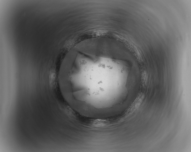 X0000103250222200809111622