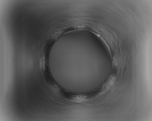 X0000103250223200809111622