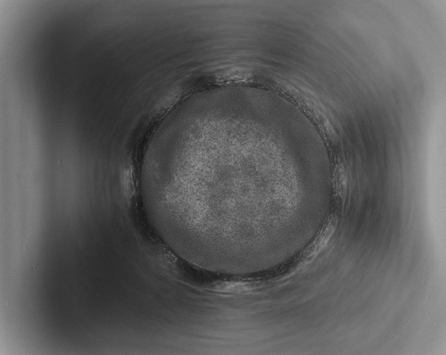 X0000103250224200809111622