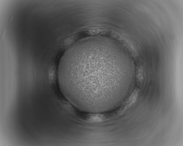 X0000103250226200809111622