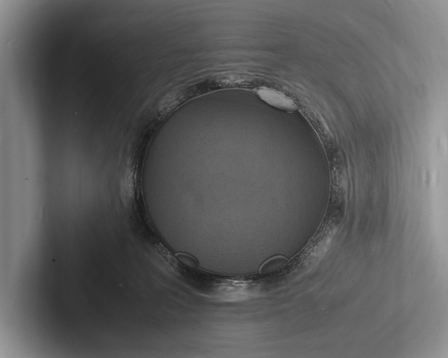 X0000103250227200809111622