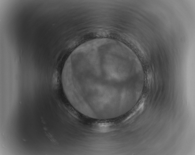 X0000103250228200809111622