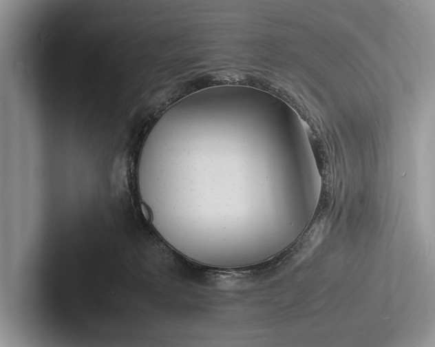 X0000103250229200809111622
